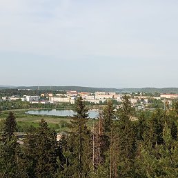 �����, ���������, 54 ����