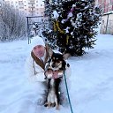 ���� �����, �������, 52 ���� - ��������� 18 ������ 2026 � ������ ���� ����������