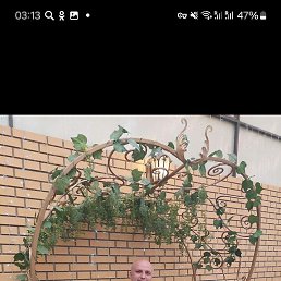 ������, �����������, 41 ���