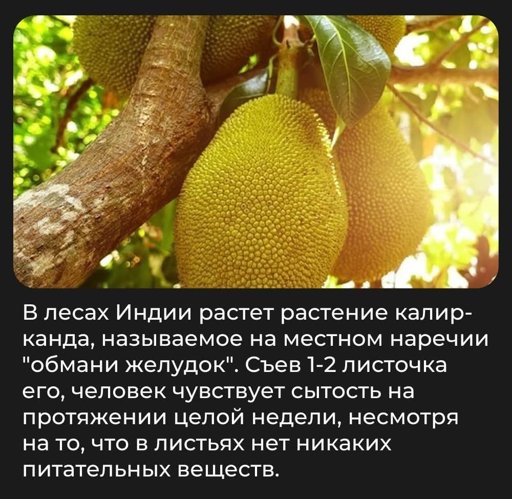 :)