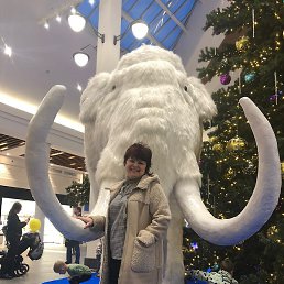 �����, ������, 54 ����