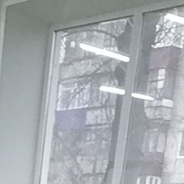 ����, ������, 39 ���