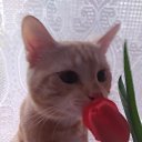 ���� ������, ������ ��� - ��������� 13 ������ 2025 � ������ ������ ��������