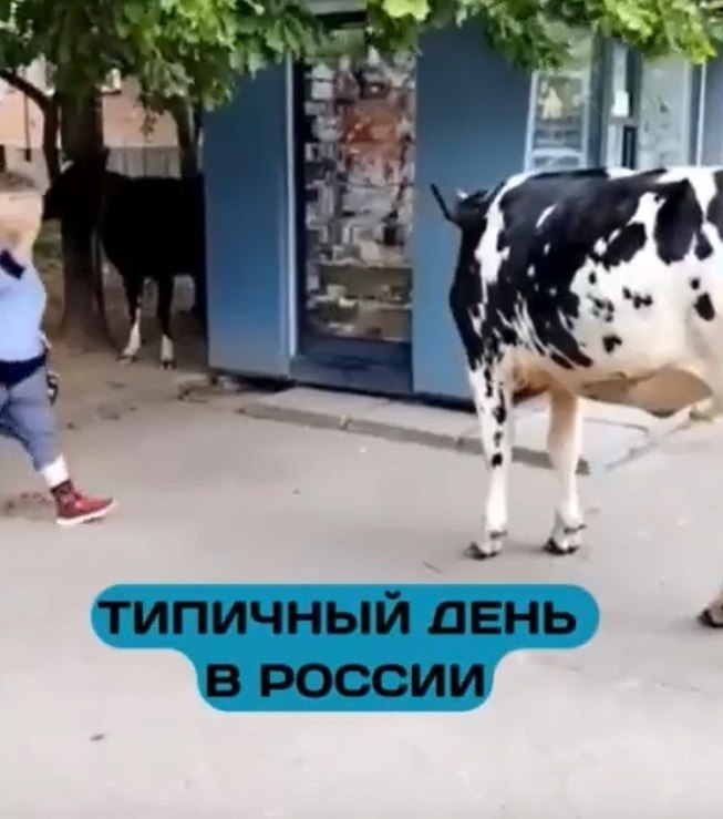 ocpoco oac opo  a po o poapa. opoe  ece e ae opo, ... - 2