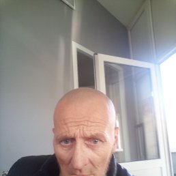 , 51 , 