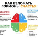���� �������, ���������, 64 ���� - ��������� 28 ��� 2026 � ������ ������ ��������