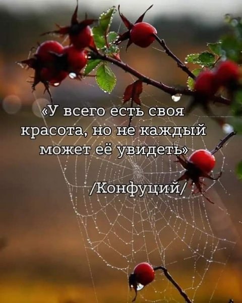   ... - 26  2025  13:45