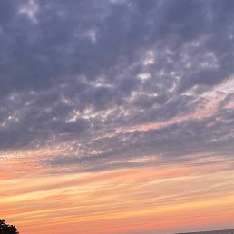 ���� ��������, �����-���������, 25 ��� - ��������� 16 ���� 2025