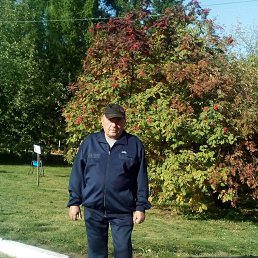 ��������� ��������, 66 ���, ����