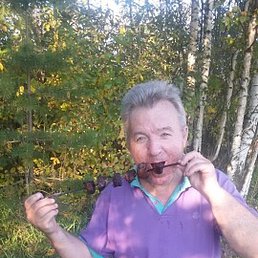 Vladimir, ���������, 67 ���
