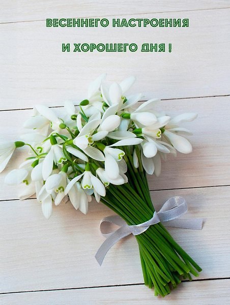 ����� �������� - 29 ����� 2025 � 11:00