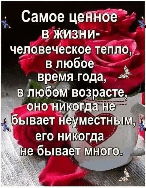 ₪╬═►  ||  ||  ◄═╬₪ - 20  2025  15:47