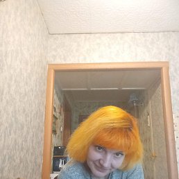 �������, ������, 40 ���