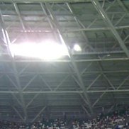 �������, 49 ���, ������