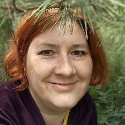 �������, ������, 39 ���