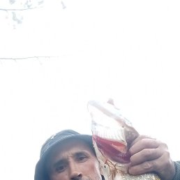 �����, ���, 43 ����