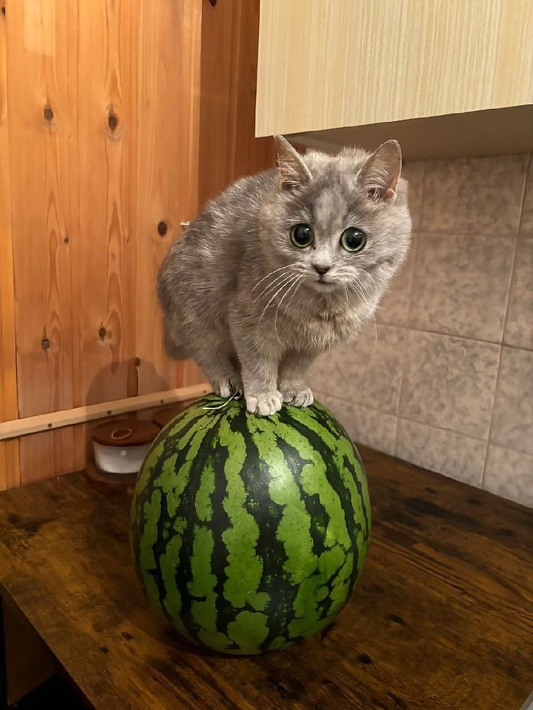 ,           - 10