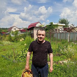 ������, 58 ���, ��������