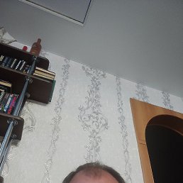 , 54, 