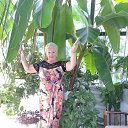 ���� Valentina, ������������ - ��������� 17 ���� 2026 � ������ ���� ����������