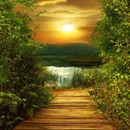 Dmitri, ������, 54 ����