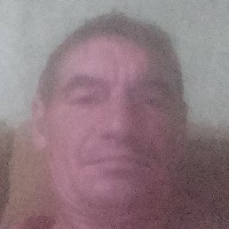 ������� ����������, ��������, 44 ����