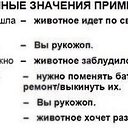 ���� Vlad, �������, 41 ��� - ��������� 12 �������� 2024 � ������ ���� ����������