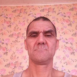 , 49, 