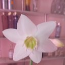 ���� �����, �����, 42 ���� - ��������� 27 ������� 2024 � ������ ���� ����������