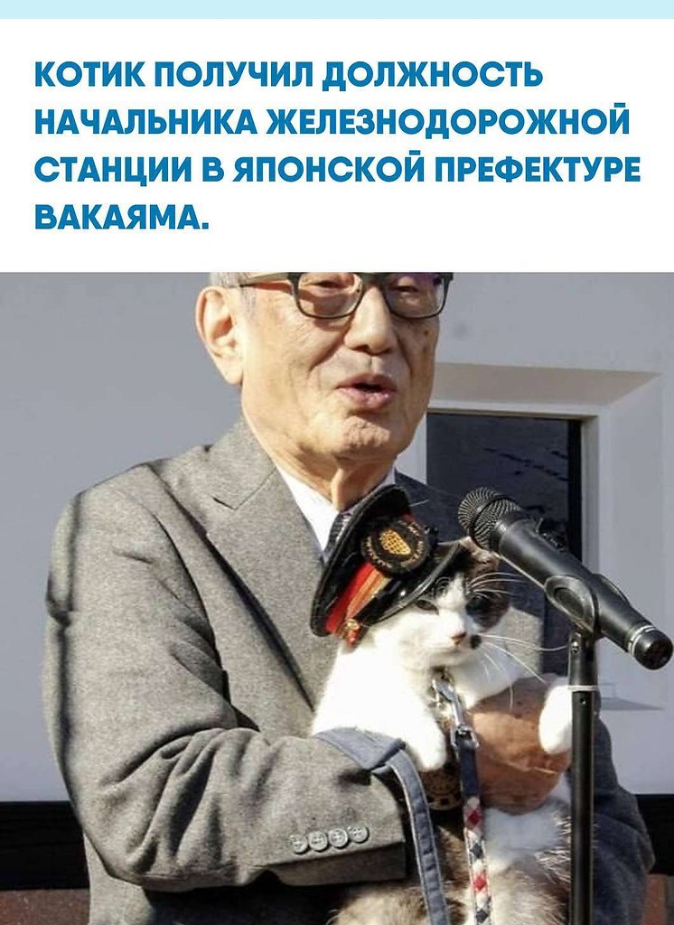 pe���e�� �e�e��o�opo��o� �o��a��� o����a���o �p���� ��oc�a�o�� co�p������ �o �����e ���a�a �e�a�� � ...