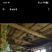 ������, 36 ���, ������