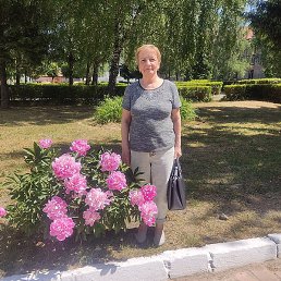 ����, �����������