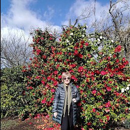 ��������, �����, 65 ���