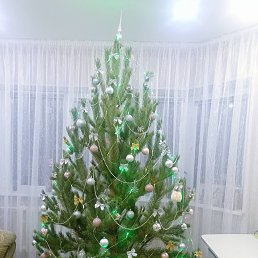 ���� ����, �����, 74 ���� - ��������� 27 ������� 2023