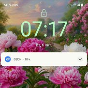 �����, 46 ���, �����������