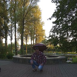 ���� ����, ������, 43 ���� - ��������� 12 ������ 2023