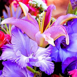 Andrey, ���������, 34 ����