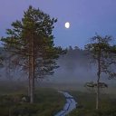 ���� �������, �������, 50 ��� - ��������� 7 ��� 2024 � ������ ���� ����������