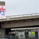 ���� ��������, ������, 65 ��� - ��������� 9 ������� 2025 � ������ ���� ����������