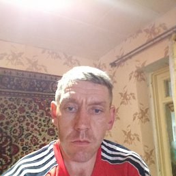  Ը, 43 , 