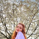 ���� �������, ������, 27 ��� - ��������� 6 ������ 2026