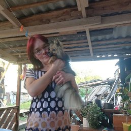 �������, �����, 48 ���