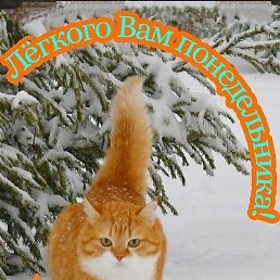 ������, ���������, 50 ���