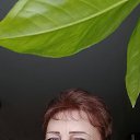 ���� ������, ������-��-����, 52 ���� - ��������� 27 ������� 2023 � ������ ���� ����������