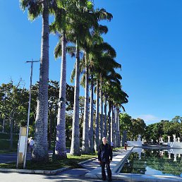 ������, ������, 47 ���