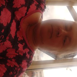 , 56, 