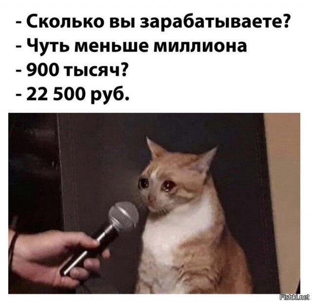 ����, ���� ������ ���� ����������� �����: ������������� ������ 50000? ����������� � �� ������! �� ... - 2