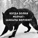 ���� ����, ����, 48 ��� - ��������� 15 ������� 2025 � ������ ���� ����������