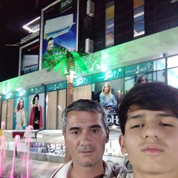 , 37, 