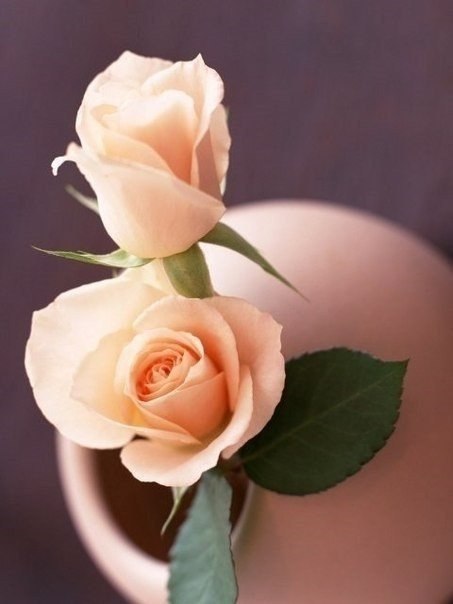 Доверяйте любимым, не ищите изъяна, Не пытайтесь поймать хоть пол-слова обмана... В мелочах не ... - 2